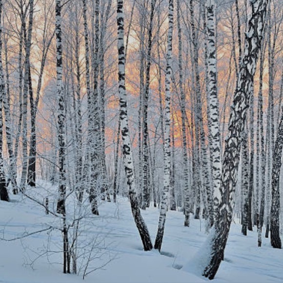 Sales between 12/9 and 12/15 will ship 12/16.  Offers welcome!
Please see below. - Picture 1 of 5